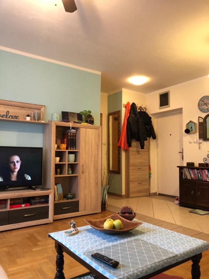 Cosy Apartment-Private Parking Zagreb Extérieur photo